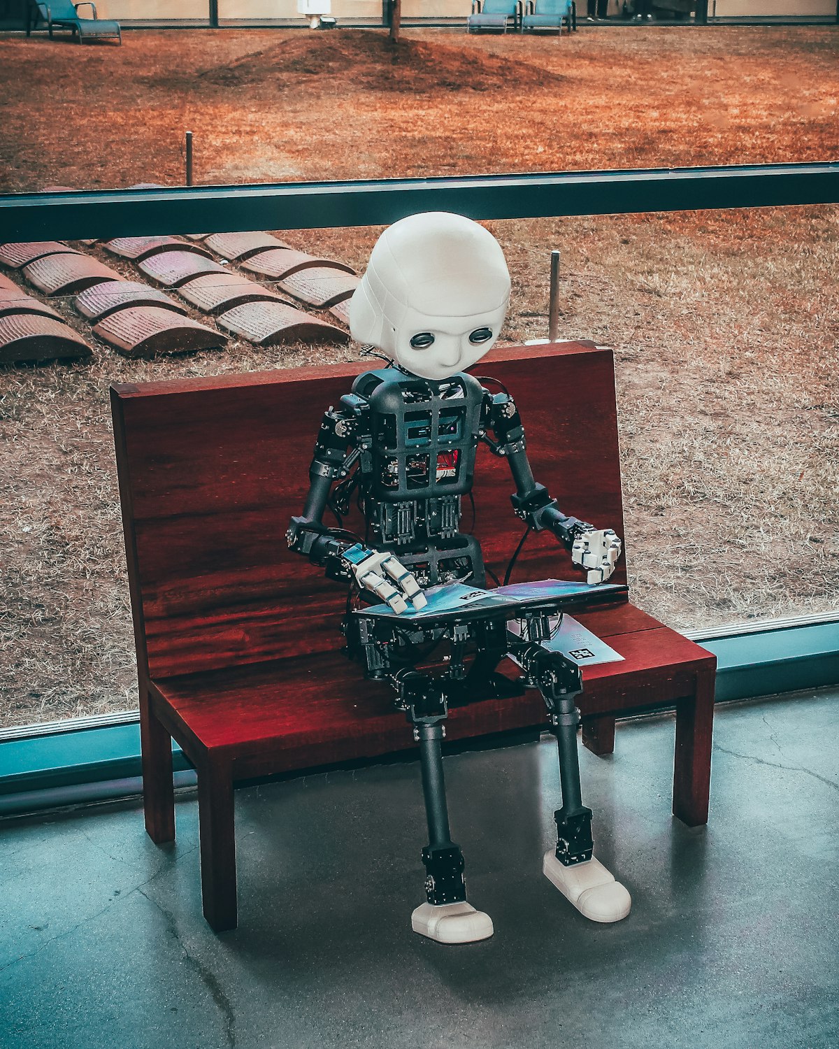 Human AI trust